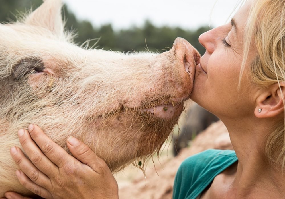 veganismo consecuador